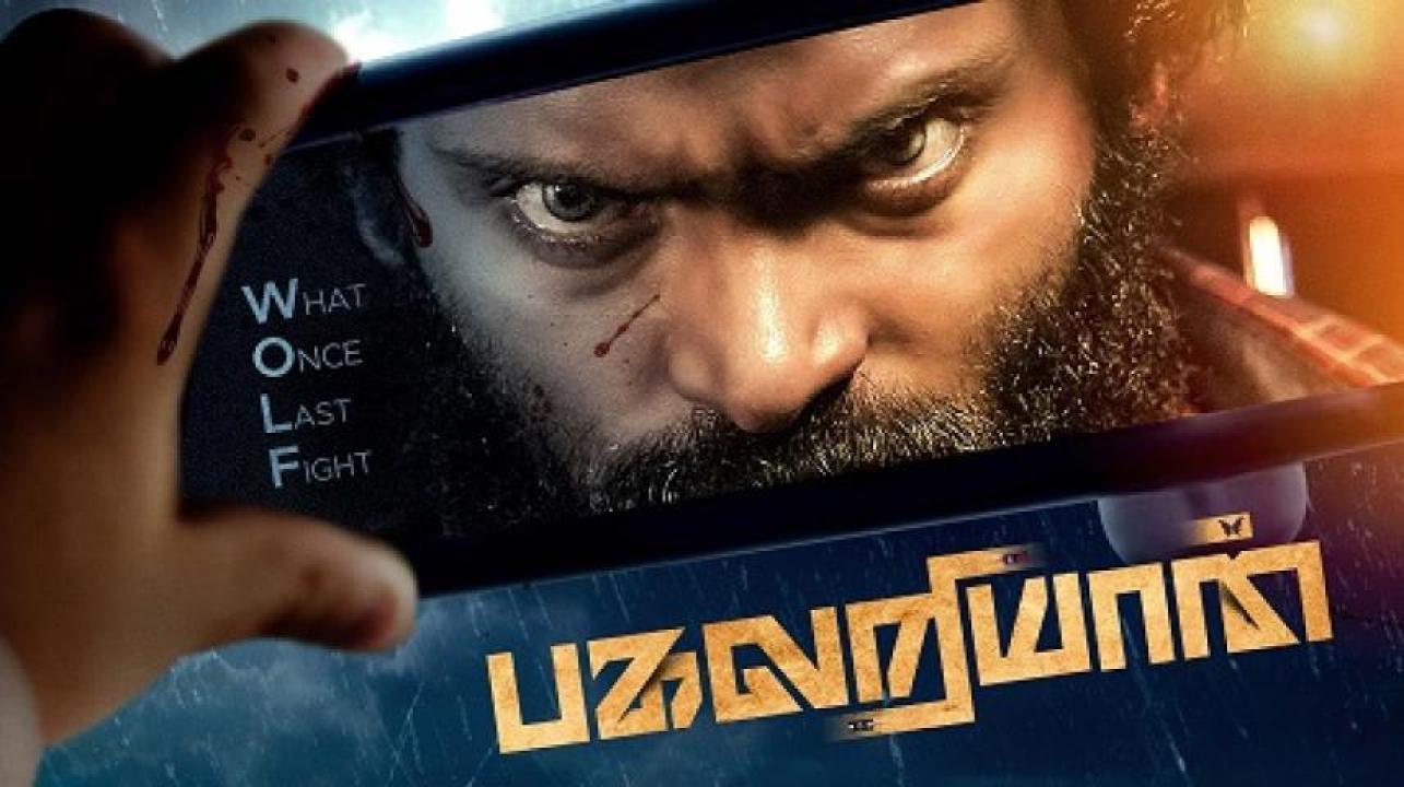 مشاهدة فيلم Pagalariyaan 2024 مترجم جديدك