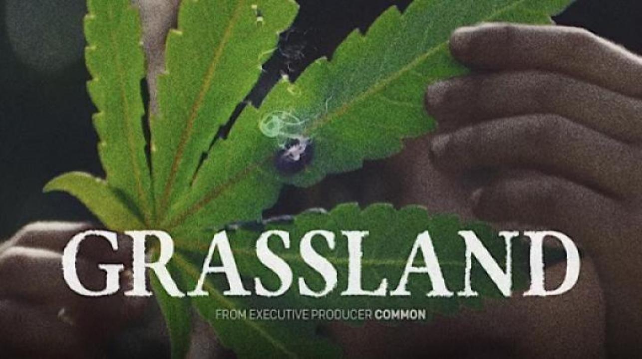 مشاهدة فيلم Grassland 2024 مترجم جديدك