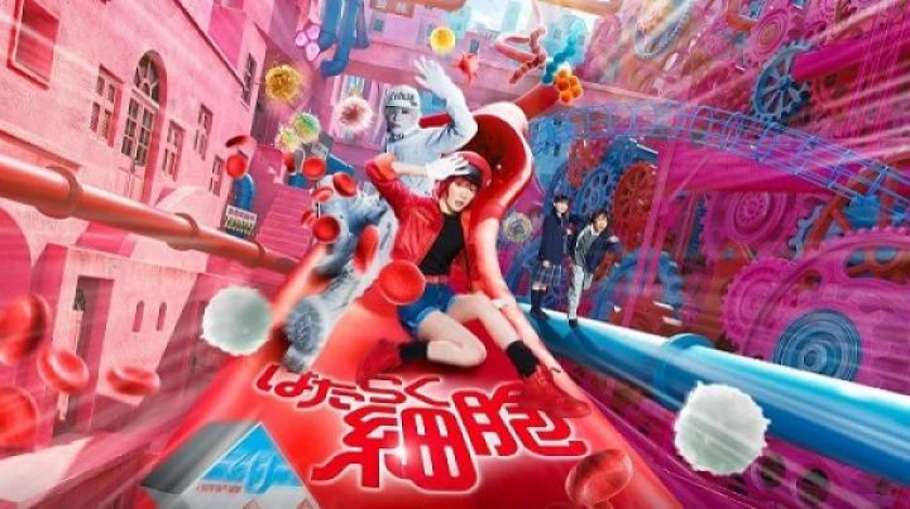 مشاهدة فيلم Cells at Work 2024 مترجم جديدك