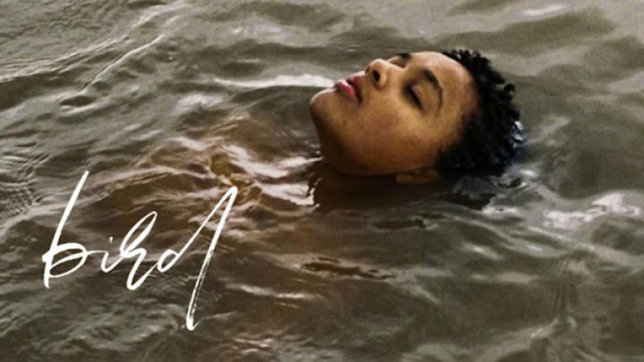 مشاهدة فيلم Bird 2024 مترجم جديدك