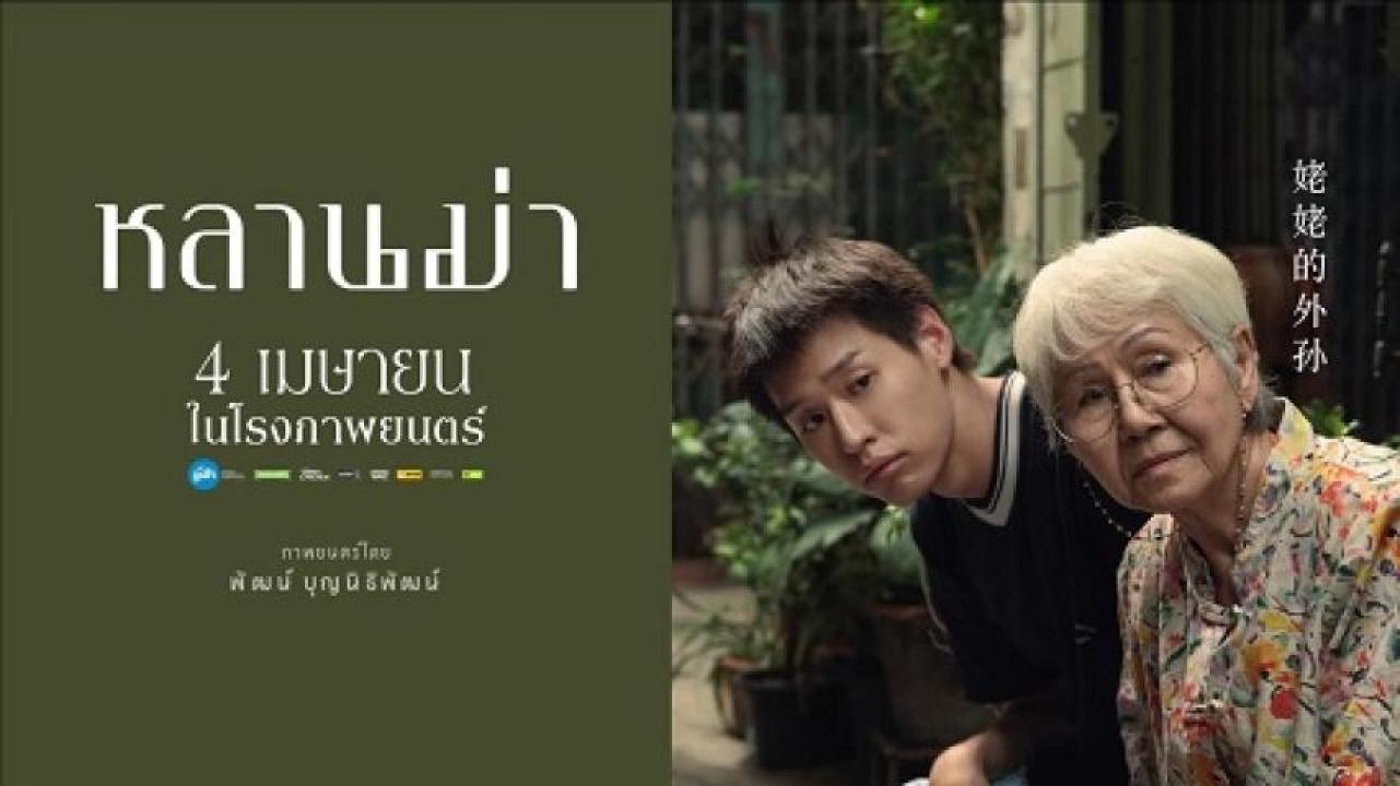 مشاهدة فيلم How To Make Millions Before Grandma Dies 2024 مترجم جديدك