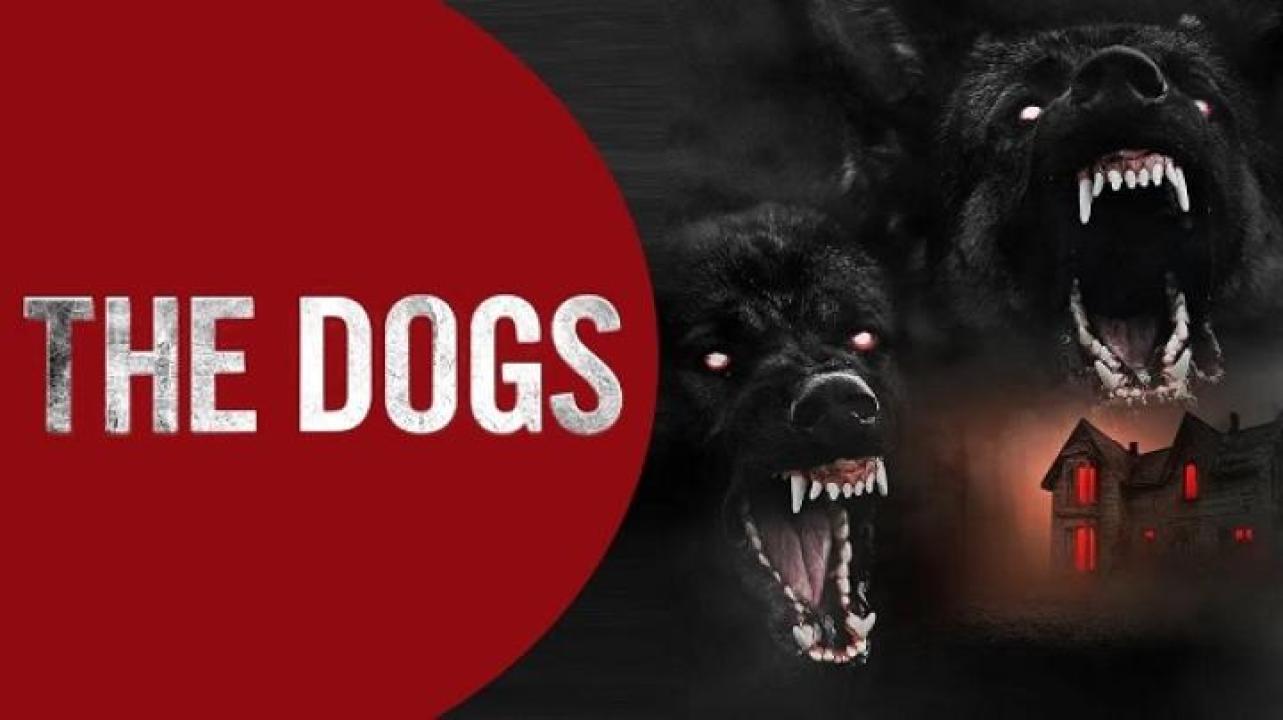 مشاهدة فيلم The Dogs 2025 مترجم جديدك